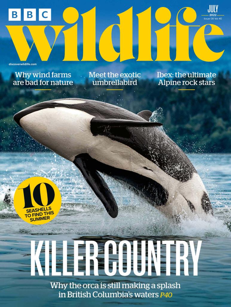 Bbc Wildlife July 2022 Digital 7735