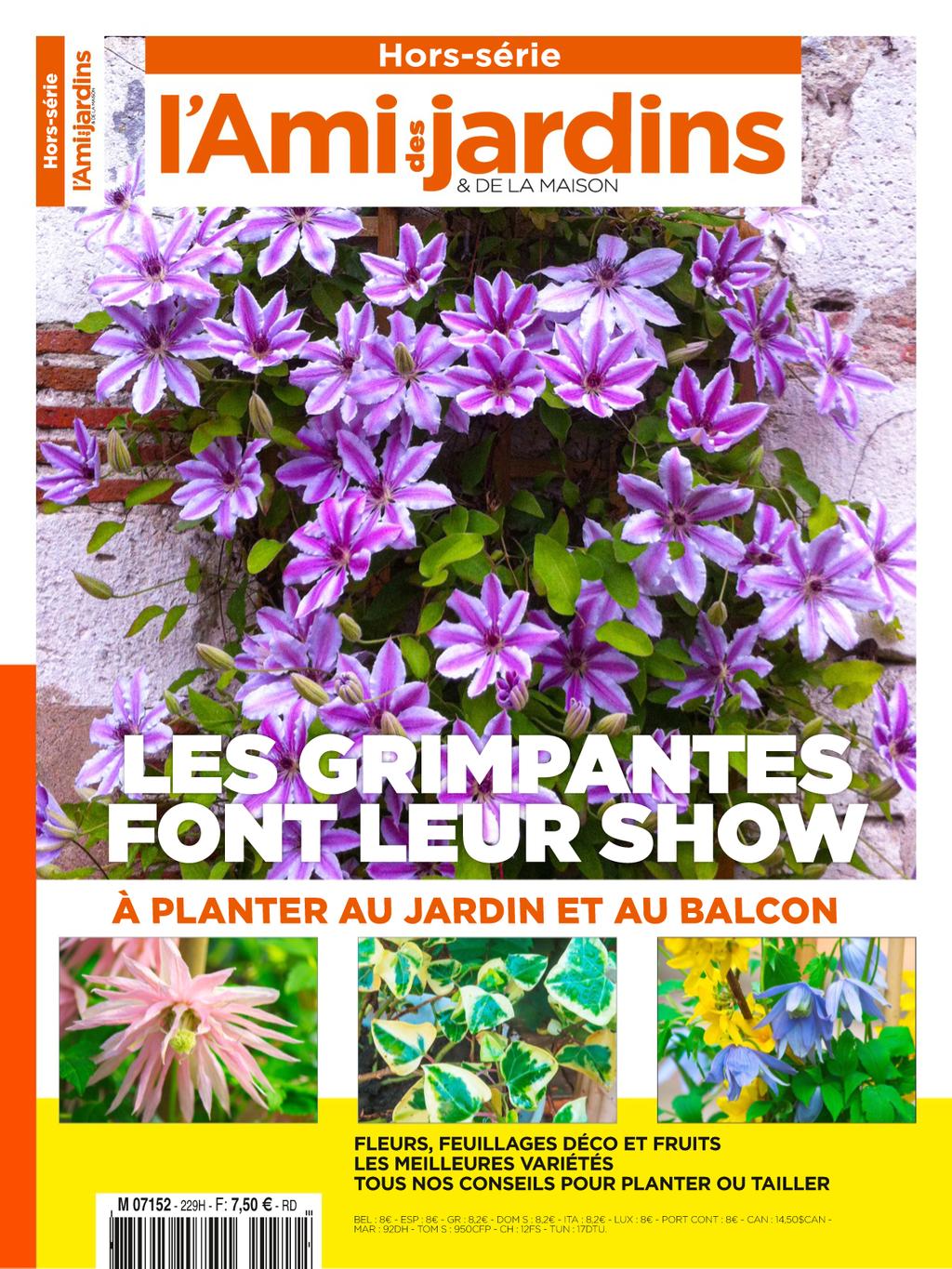 L'Ami des Jardins HS Collection Magazine (Digital) - DiscountMags.com