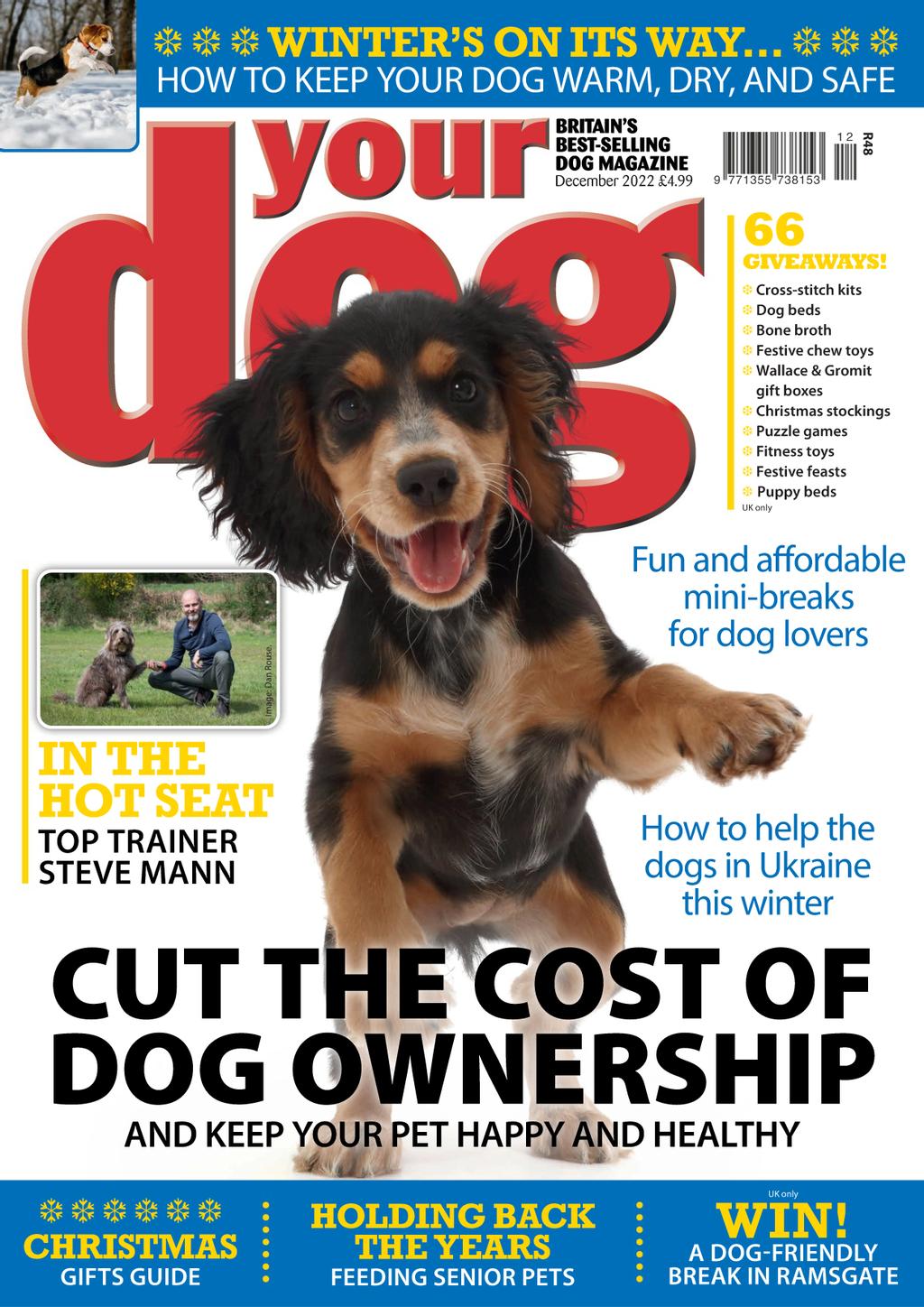 Your Dog December 2022 (Digital) - DiscountMags.com