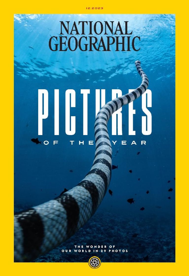 National Geographic Magazine Subscription Discount - DiscountMags.com