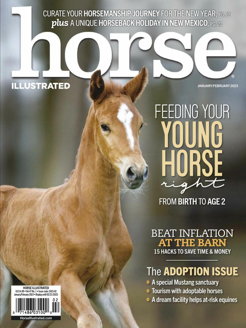524449 Horse Illustrated Cover Latest Issue 