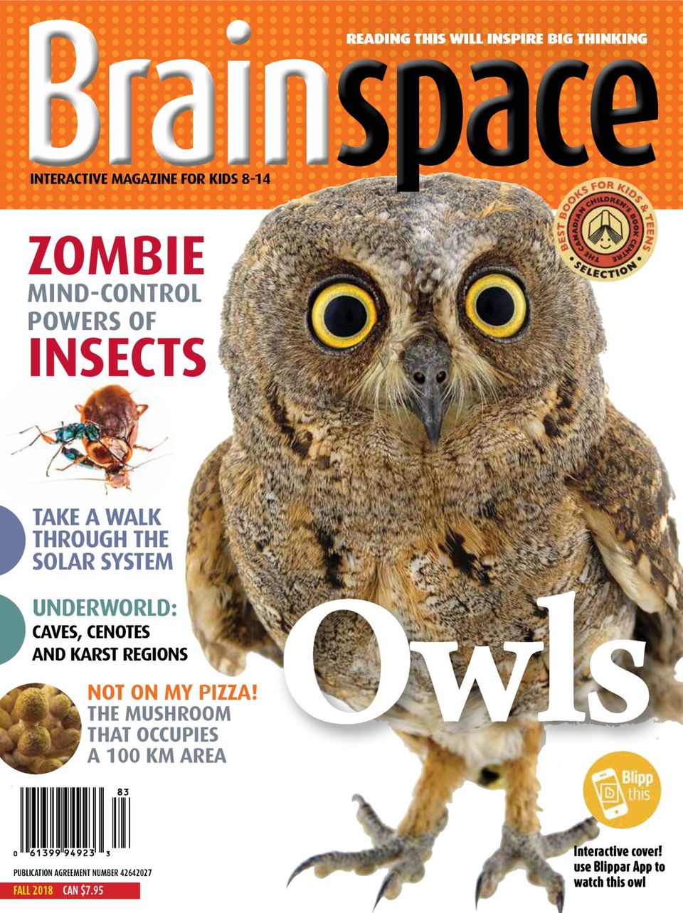 Brainspace Fall Digital DiscountMags Com