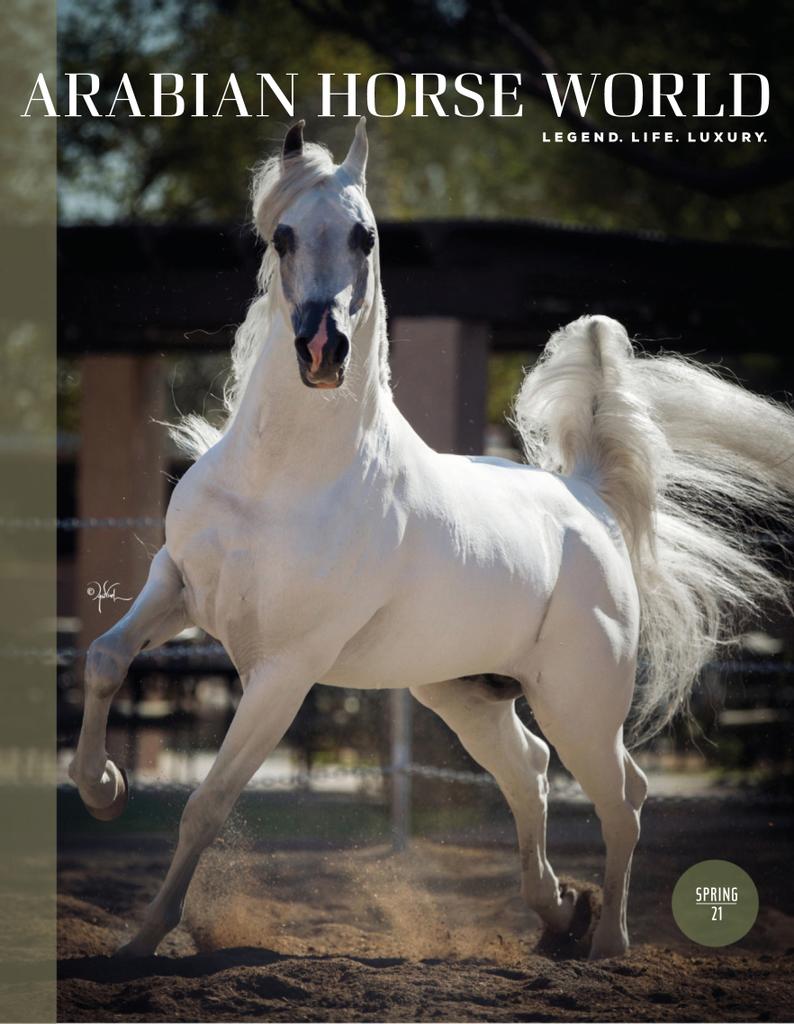 Arabian Horse World Magazine (Digital) Subscription Discount