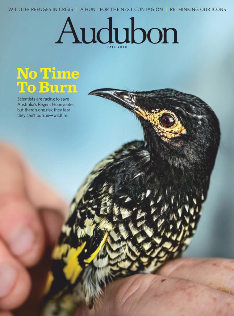 Audubon Magazine (Digital) Subscription Discount
