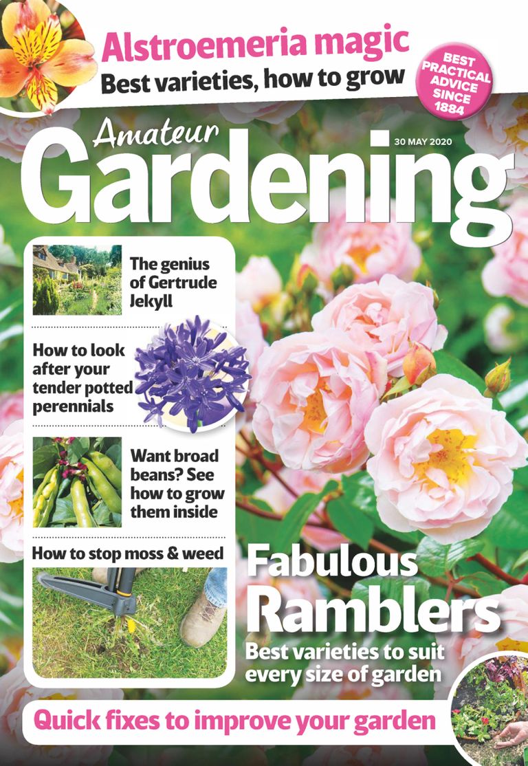 Amateur Gardening Magazine (Digital) Subscription Discount ...