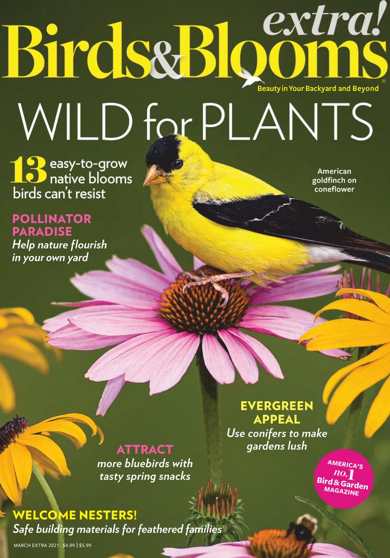 Birds and Blooms Extra Magazine (Digital) Subscription Discount