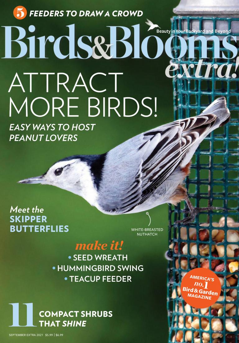 Birds and Blooms Extra Magazine (Digital) Subscription Discount