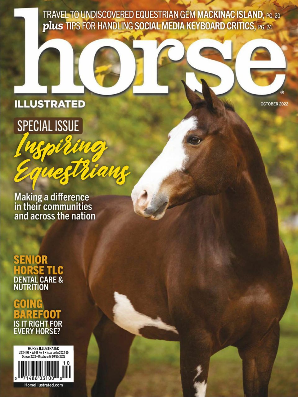 Horse Illustrated Magazine Subscription Discount | Everything for You ...