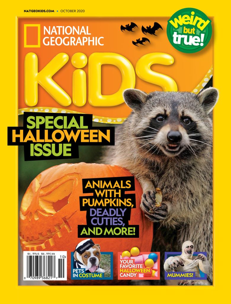 National Geographic Kids Magazine Subscription Discount - DiscountMags.com