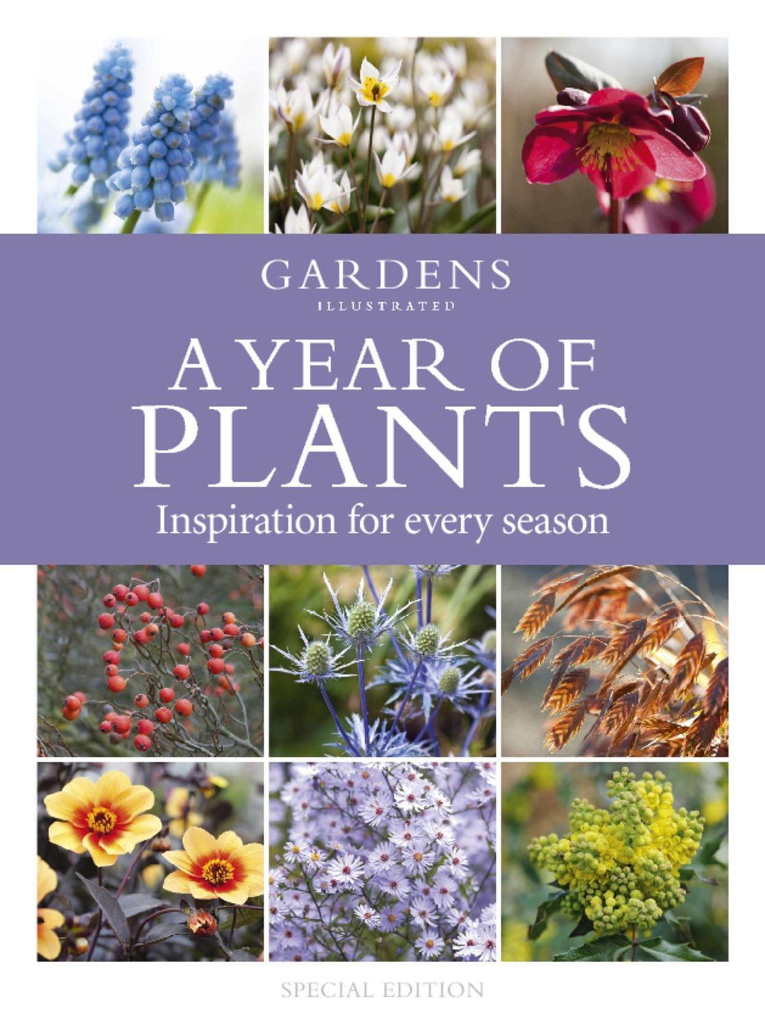 A Year of Plants - from the makers of Gardens Illustrated Magazine ...