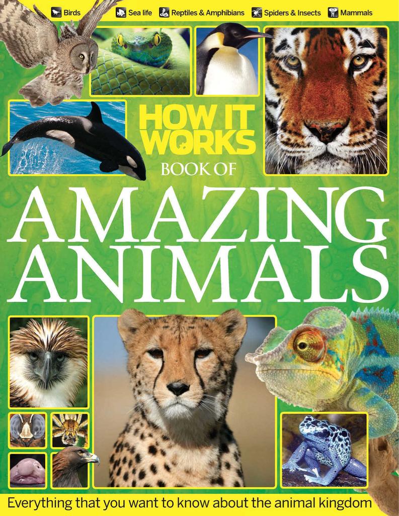 How It Works Book of Amazing Animals Magazine (Digital) - DiscountMags.com