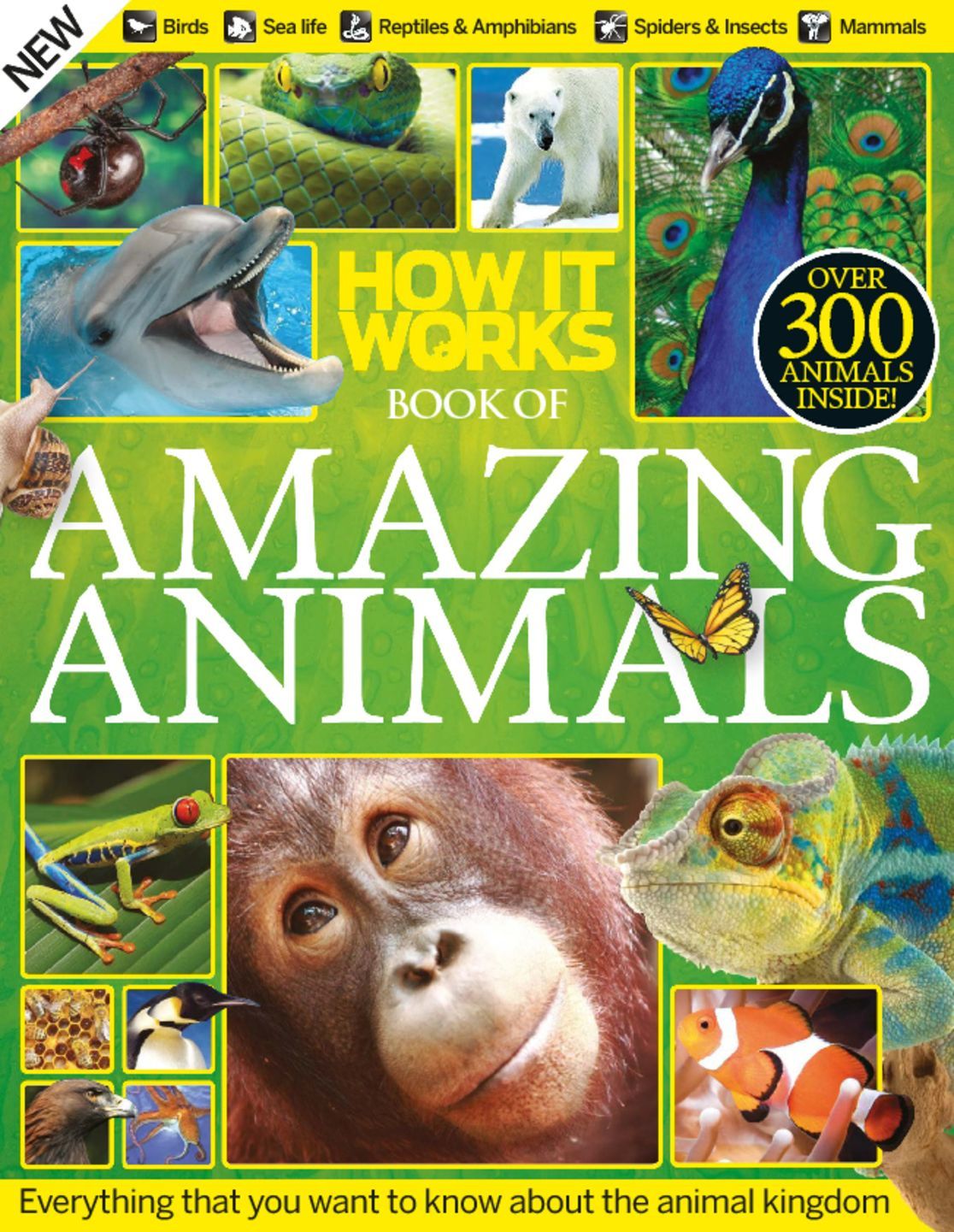 How It Works Book of Amazing Animals Magazine (Digital) Subscription ...