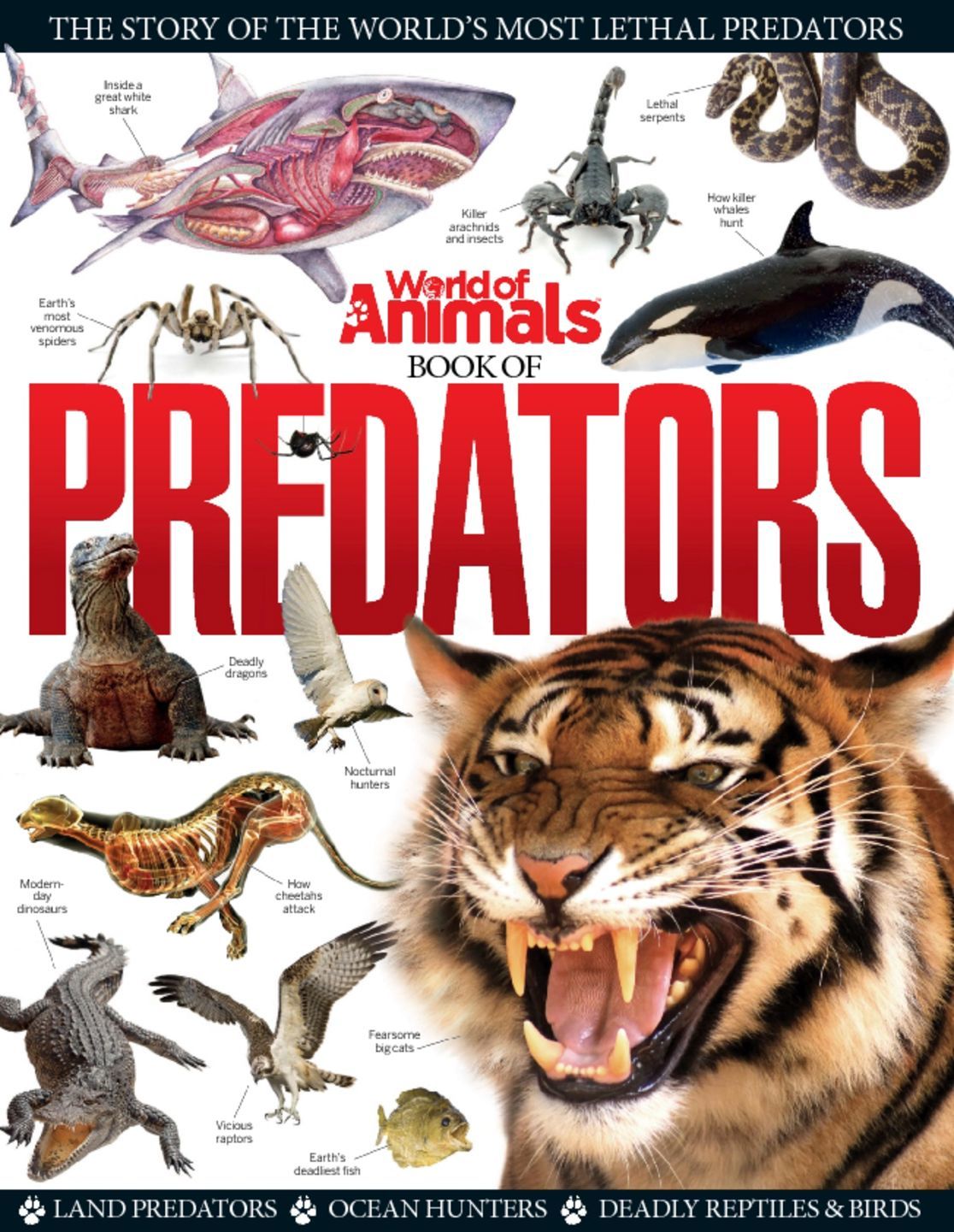 predators animals comic