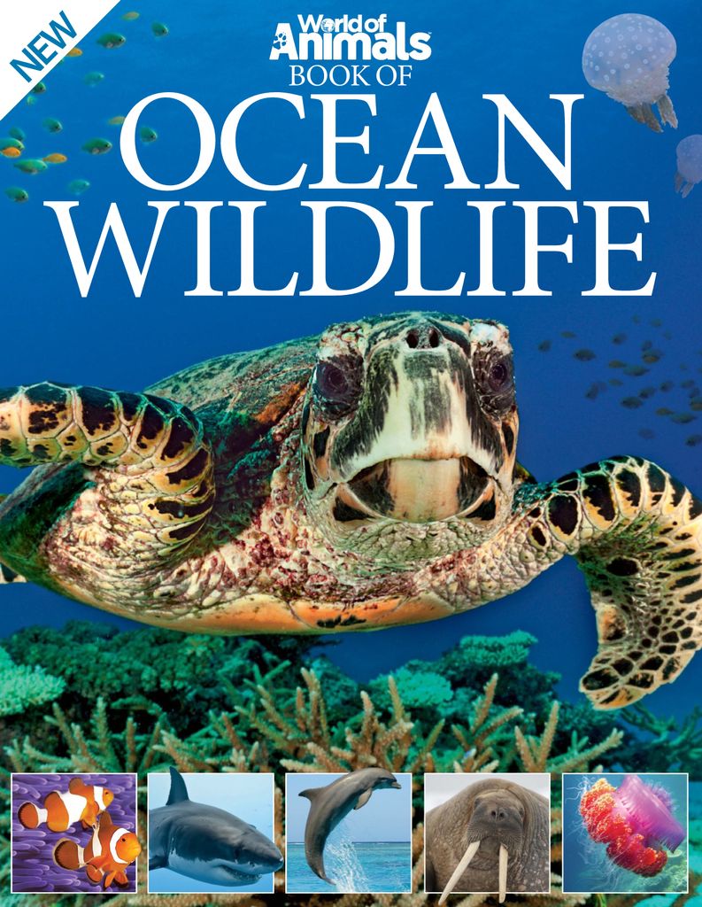 World of Animals Book of Ocean Wildlife Magazine (Digital ...