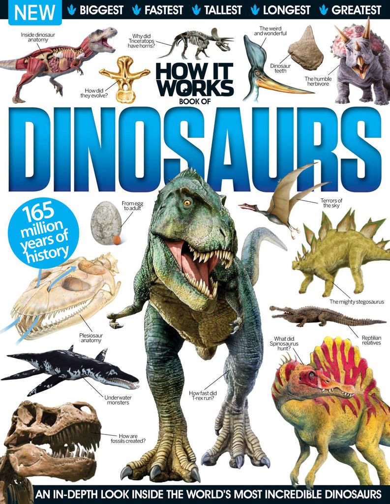 everything dinosaurs magazine