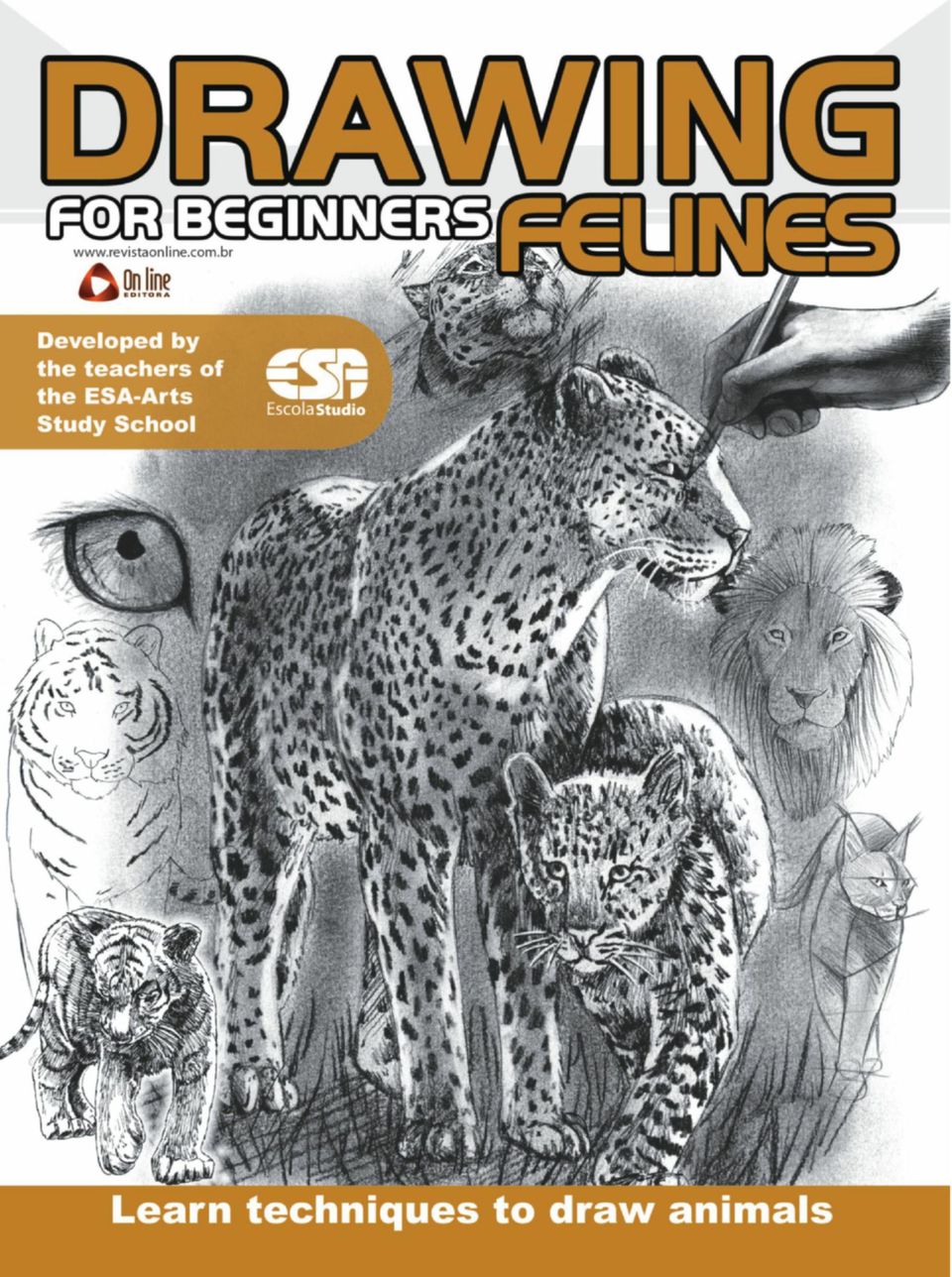 Drawing for Beginners Magazine (Digital) 