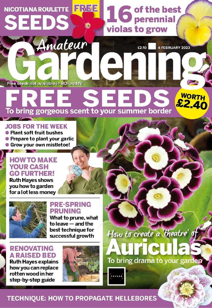 Amateur Gardening Feb Digital DiscountMags Com