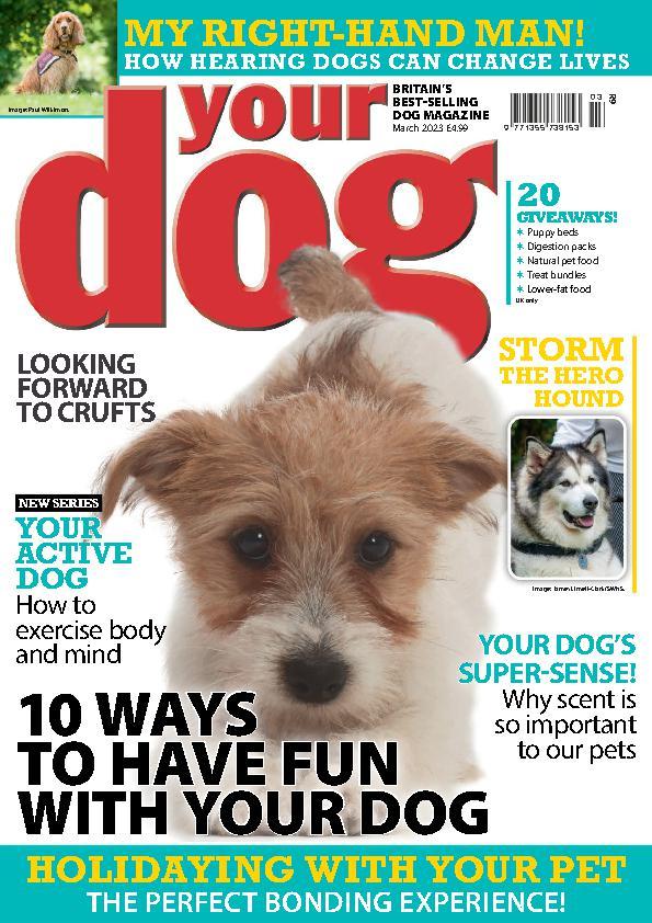 904929 Your Dog Cover 2023 March 1 Issue 