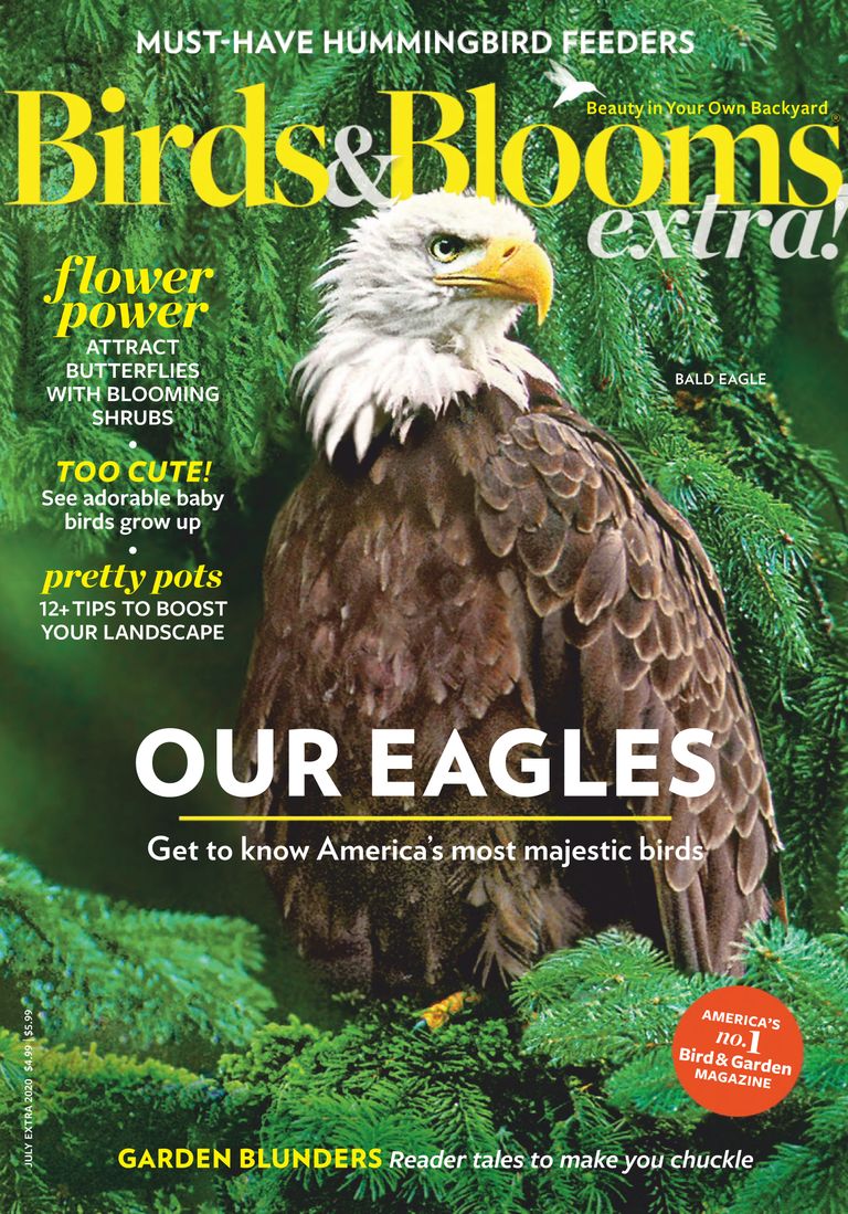 Birds & Blooms Extra Magazine Subscription Discount - DiscountMags.com