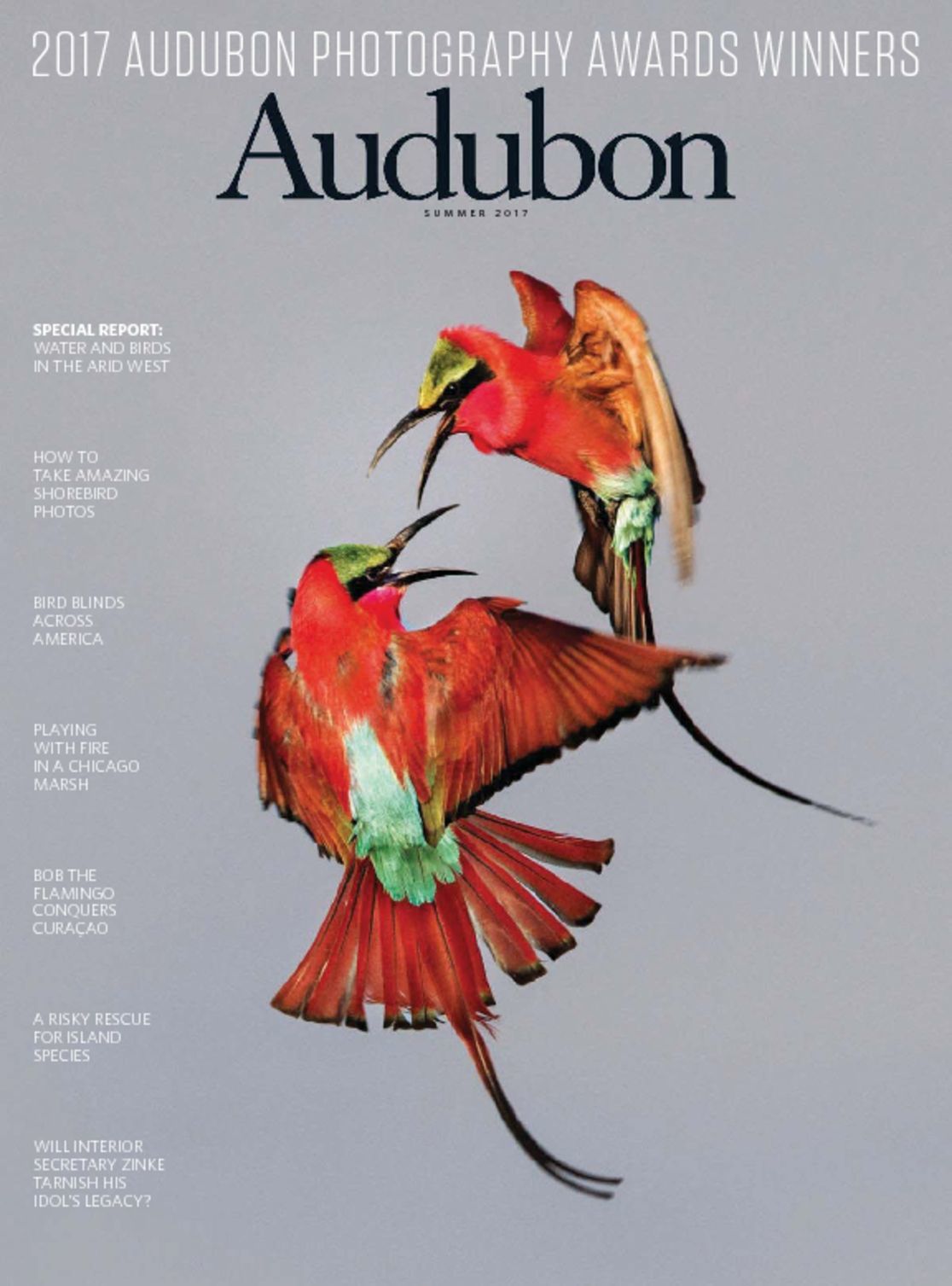 Audubon Magazine Birds and Nature