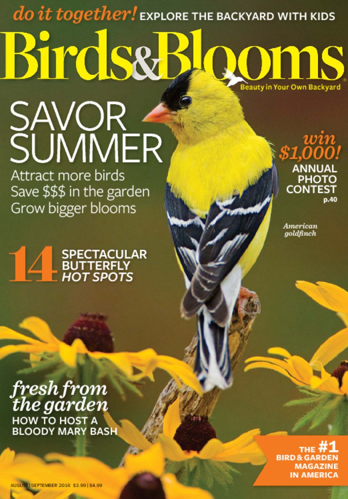 Birds And Bloom Magazine PNG