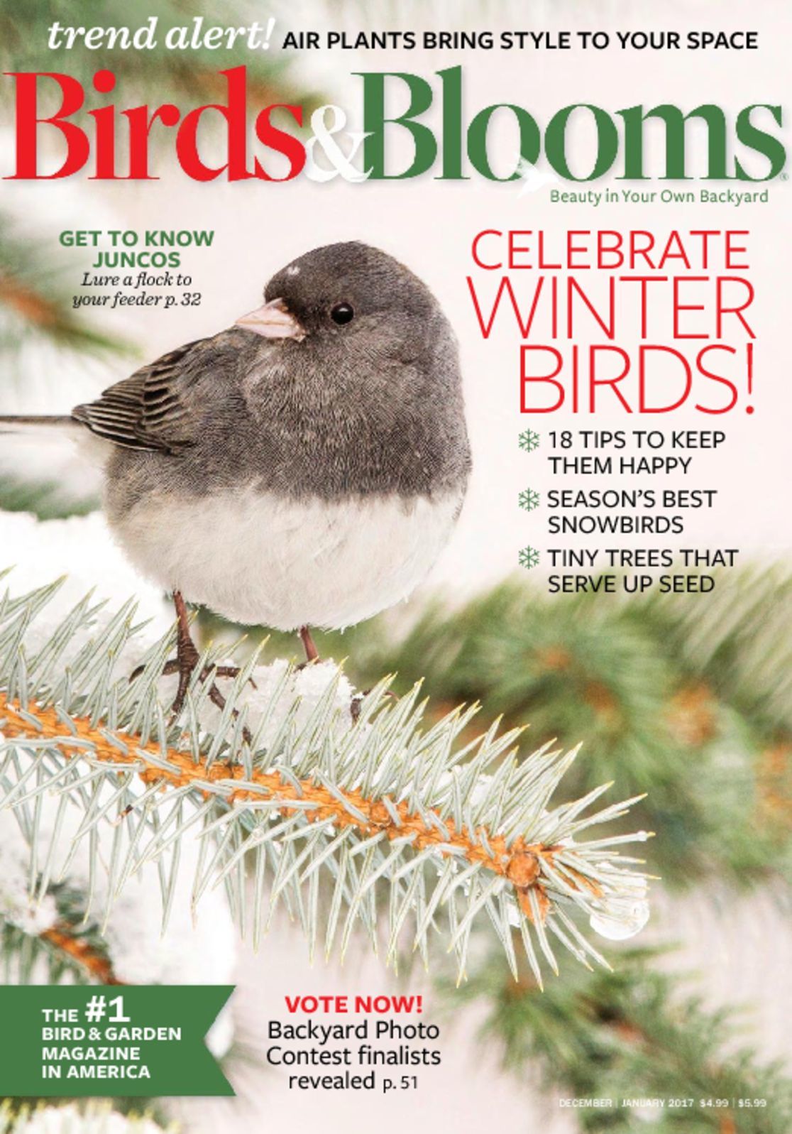 Birds & Blooms Magazine - DiscountMags.com