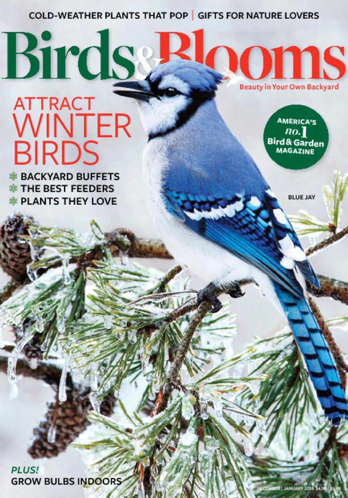 Birds & Blooms Magazine - DiscountMags.com