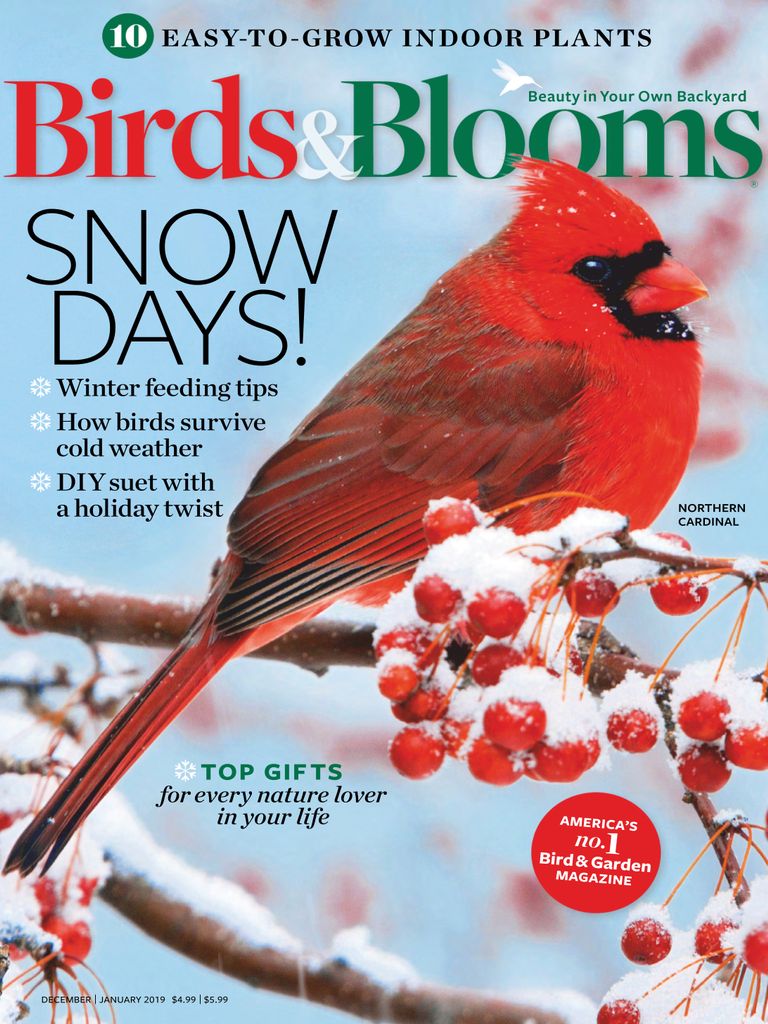 Birds & Blooms Magazine - DiscountMags.com