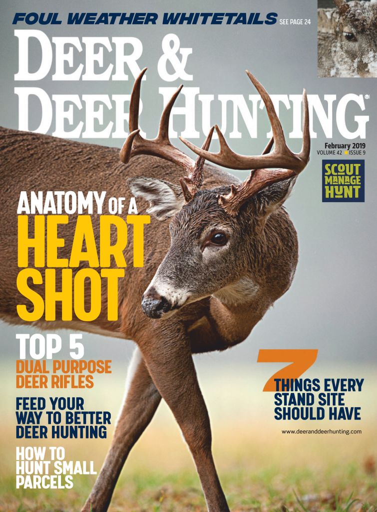 Deer & Deer Hunting Magazine - Whitetail Deer Hunting Tips ...