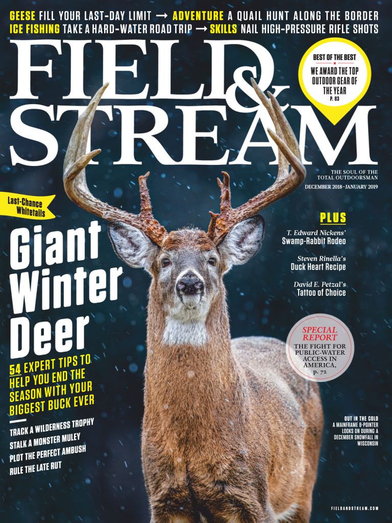 Field & Stream Magazine An Outdoor Magazine