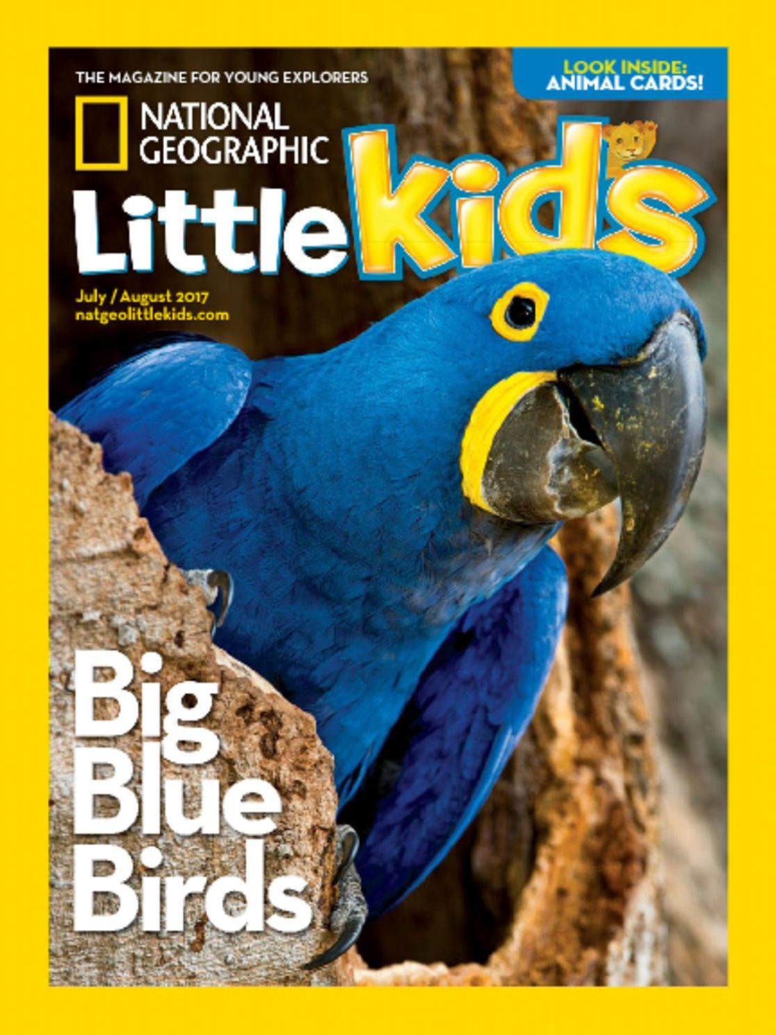 national-geographic-little-kids-magazine-discountmags