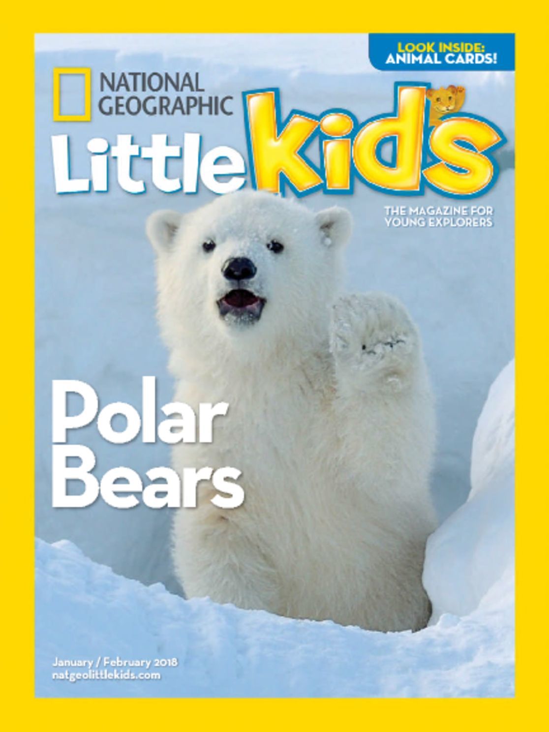 national-geographic-little-kids-magazine-discountmags