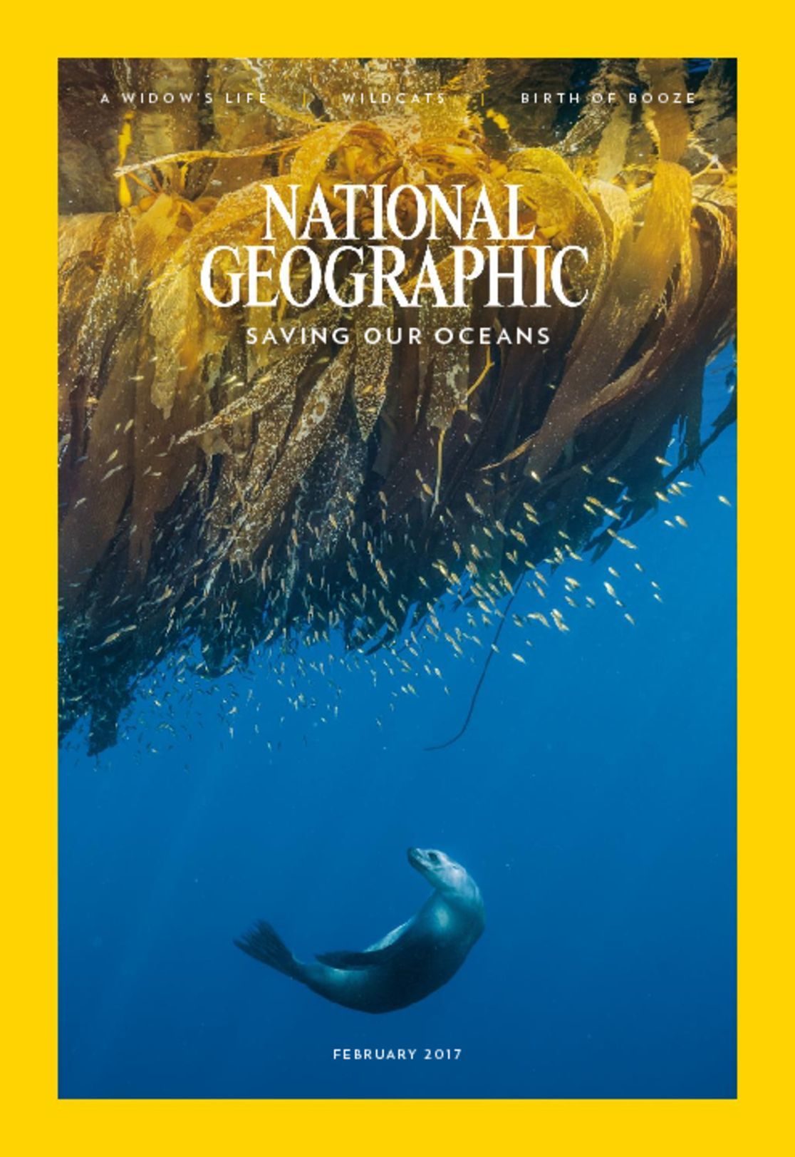 national-geographic-interactive-digital-magazine-discountmags