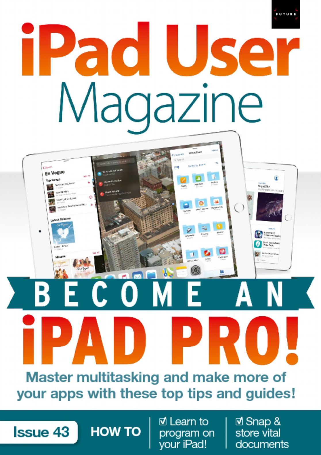 iPad Pro User Guide And Tutorial With Manual PDF 2017 for