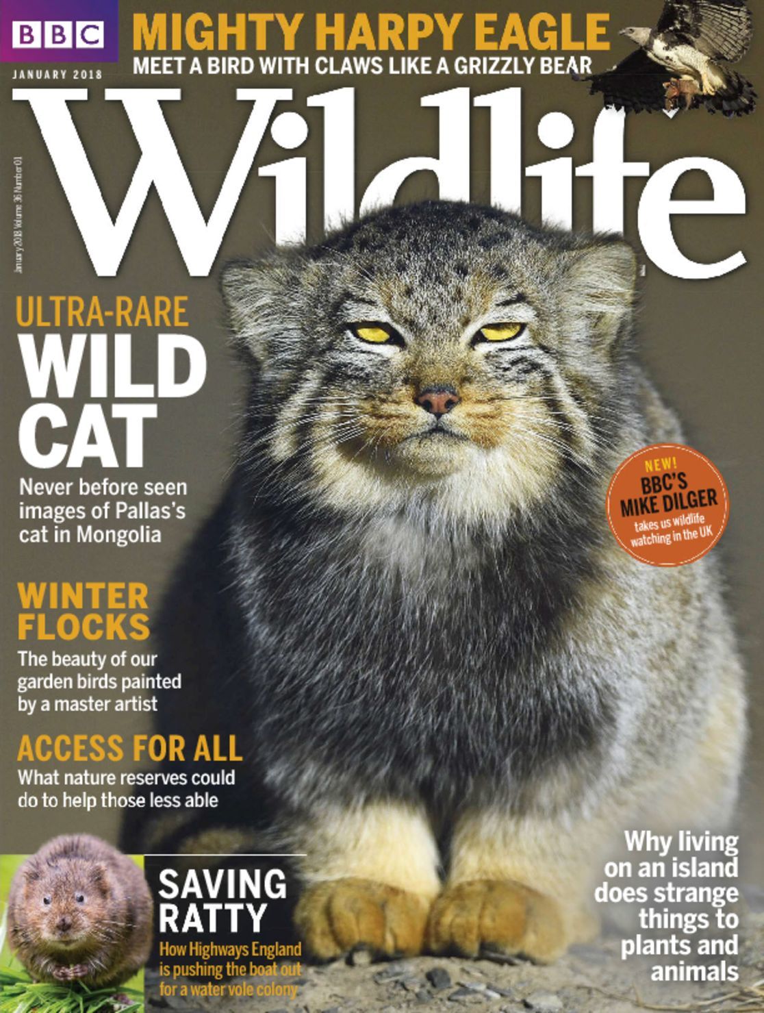 Bbc Wildlife Magazine (Digital) - DiscountMags.com