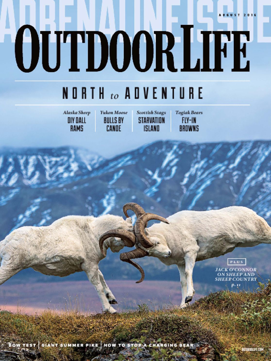 Outdoor Life Magazine | Get Your Subscription - DiscountMags.com