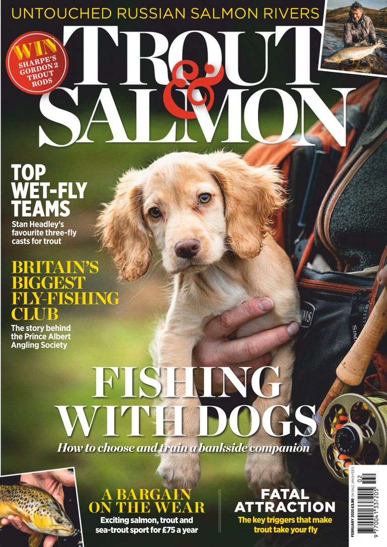 Trout & Salmon Magazine (Digital) Subscription Discount - DiscountMags.com