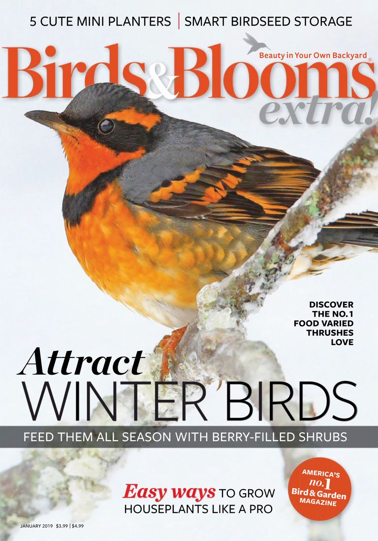 Birds and Blooms Extra Magazine (Digital) - DiscountMags.com