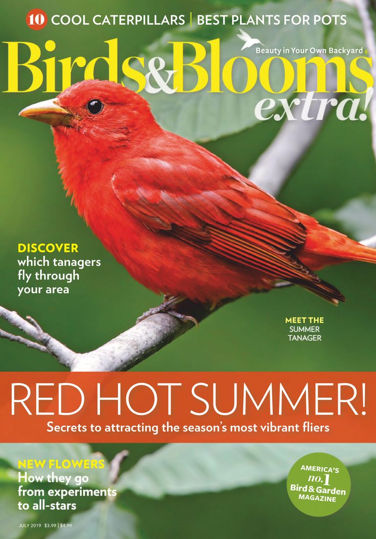 Birds and Blooms Extra Magazine (Digital)