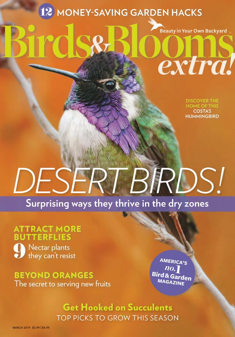 Birds and Blooms Extra Magazine (Digital) - DiscountMags.com