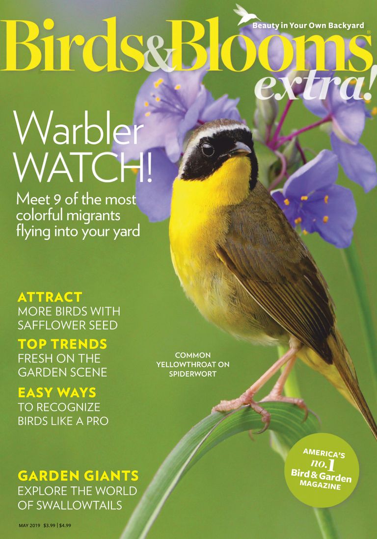 Birds and Blooms Extra Magazine (Digital) - DiscountMags.com