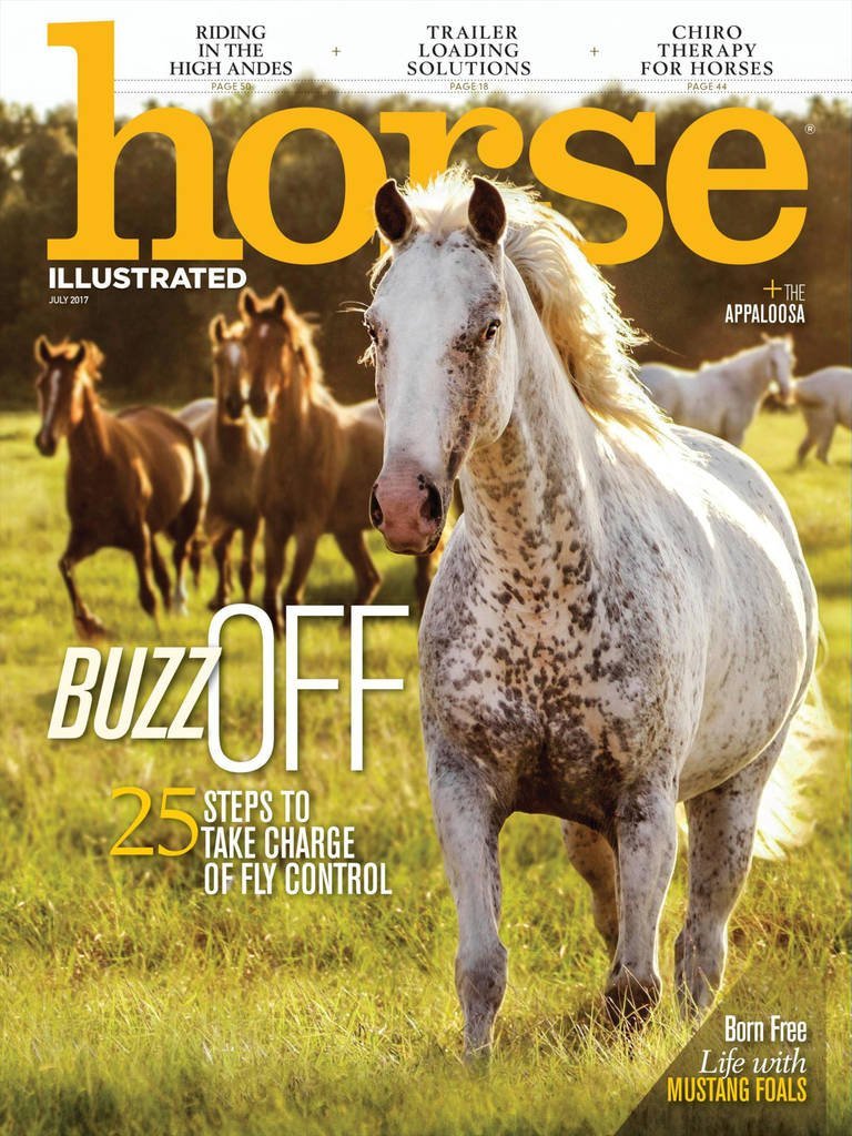 horse-illustrated-magazine-everything-for-you-your-horse
