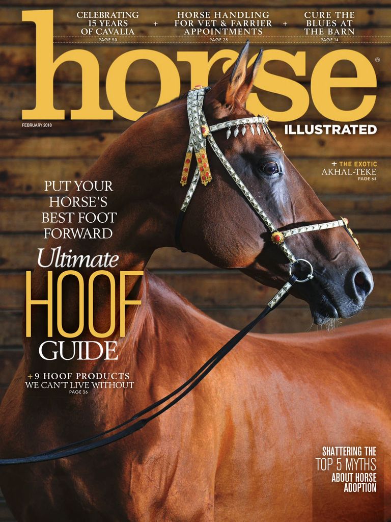 horse-illustrated-magazine-everything-for-you-your-horse