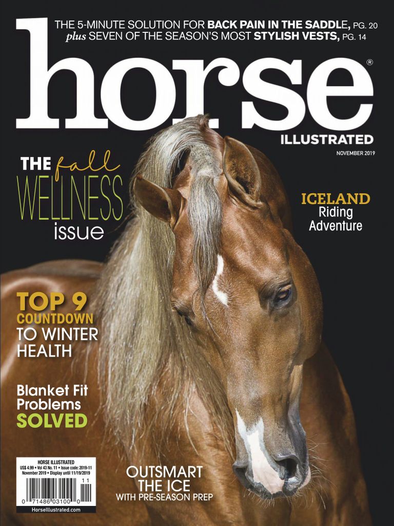 horse-illustrated-magazine-everything-for-you-your-horse
